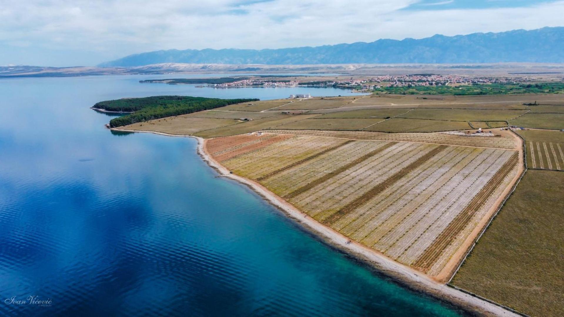 Apartman Mima Island Pag,povljana *